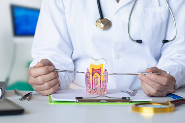 Best Emergency Dentist for Special Needs Patients in Horace, ND